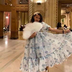 La Belle Etoile Organza French Puff Dress